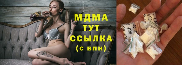 гидра Богородск