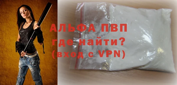 гидра Богородск