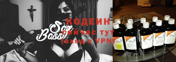 гидра Богородск
