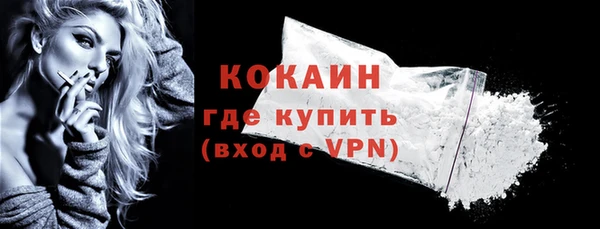 mdpv Богородицк