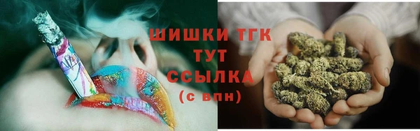 гидра Богородск