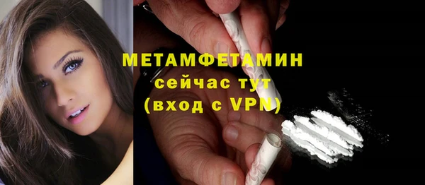 гидра Богородск