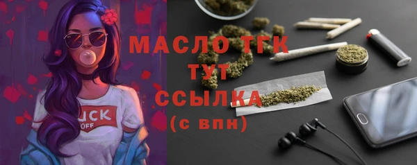 гидра Богородск