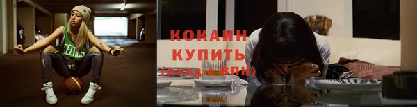спиды Богданович