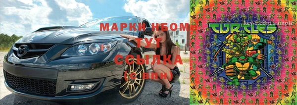 спиды Богданович