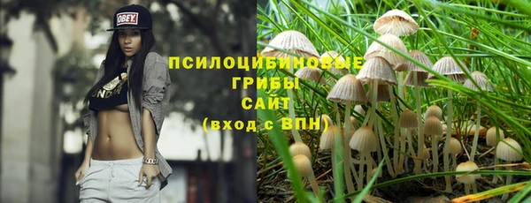 спиды Богданович