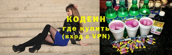 гидра Богородск