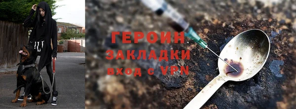 гидра Богородск