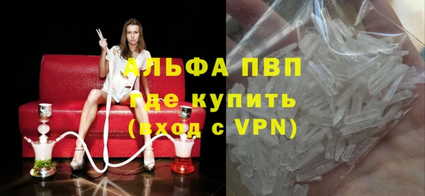 спиды Богданович