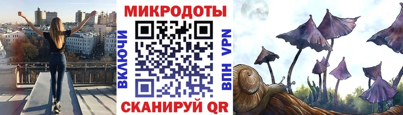 Галлюциногенные грибы Cubensis  магазин продажи   Калининград 